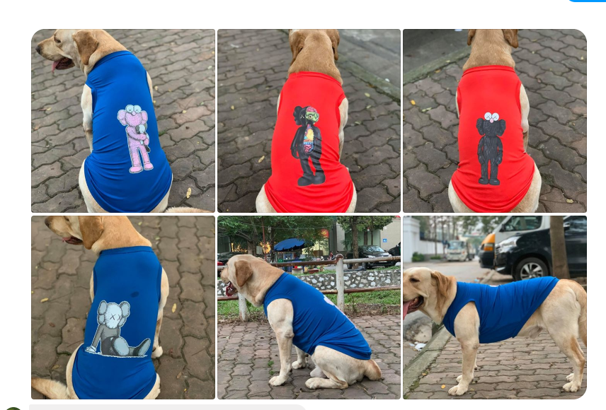 ÁO CHÓ MÈO THÚ CƯNG LỚN SIZE TO ĐỦ KÍCH CỠ SÁT NÁCH CHẤT THUN CO GIÃN TỐT ĐƯỢC CHỌN MÀU