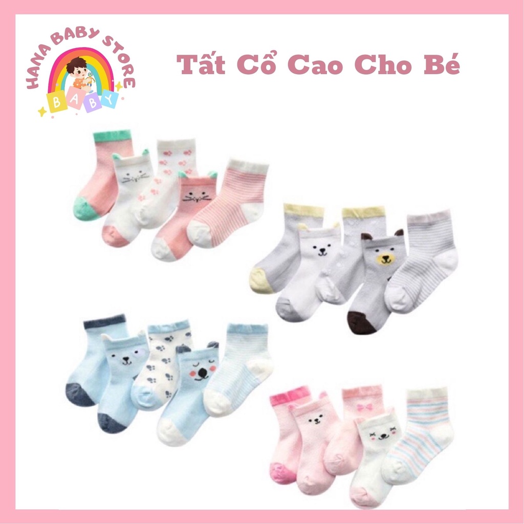 Set 5 đôi tất vớ cổ cao cho bé