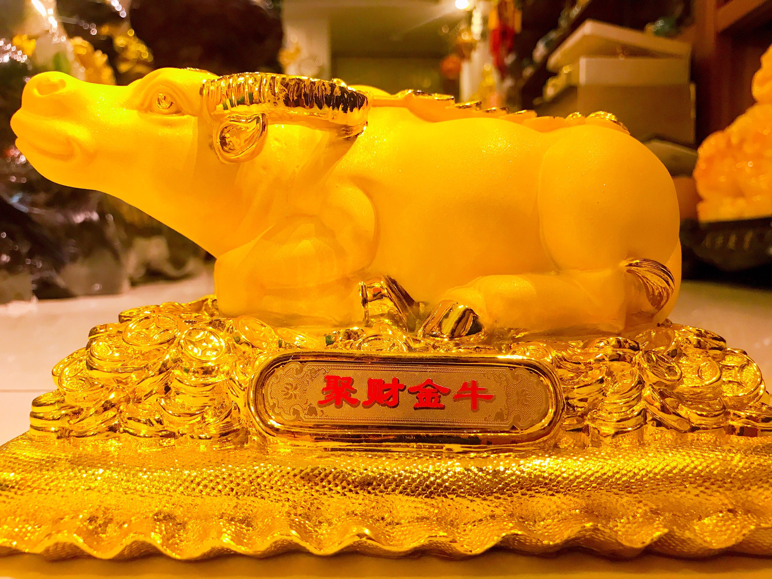 Tượng trâu phong thuỷ màu vàng kim sa dáng nằm .
