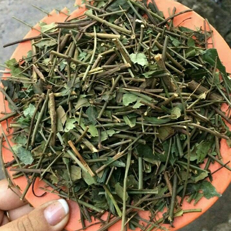 Chè vằng sẻ khô - dv004