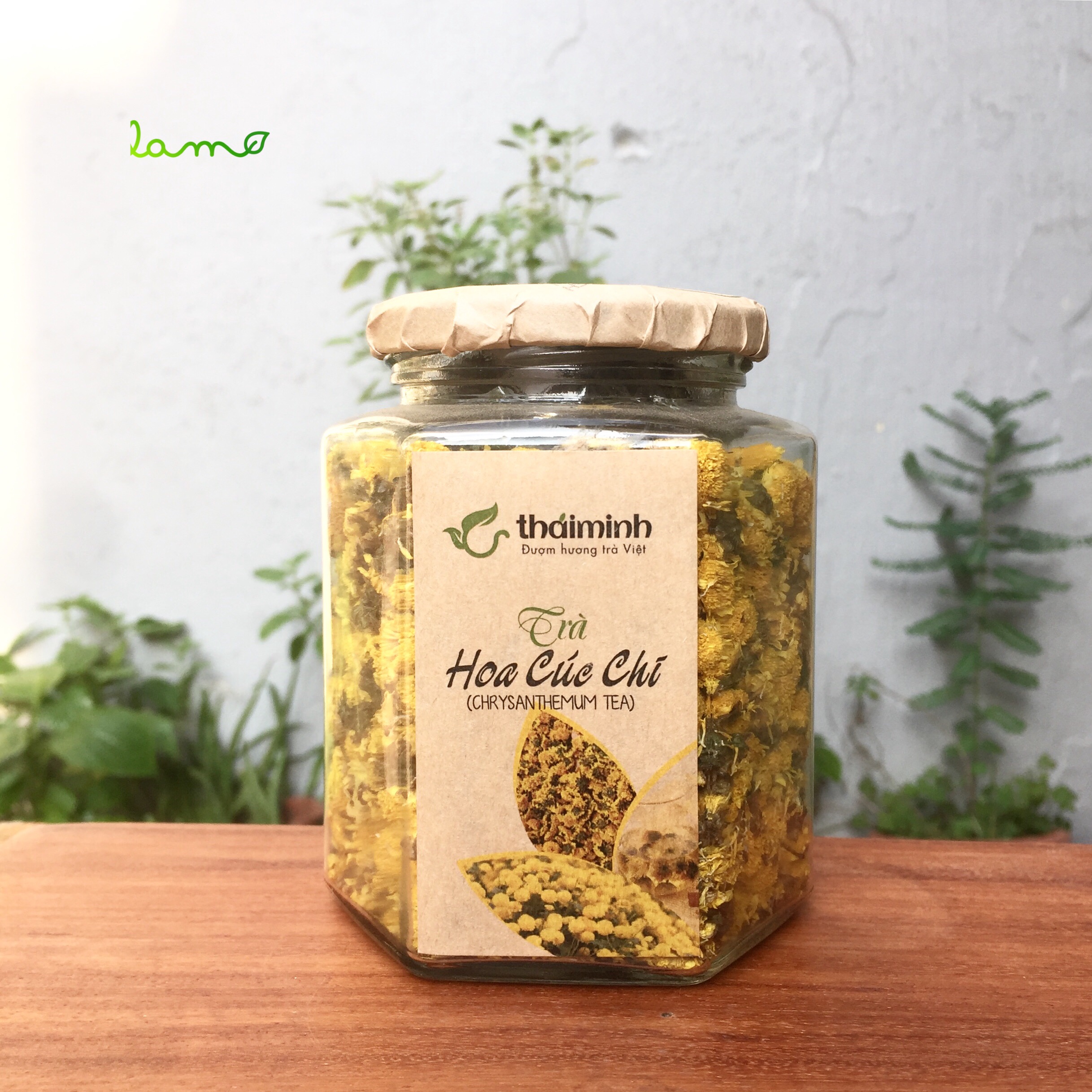Trà hoa cúc chi sấy lạnh 50gr - An thần - Thanh nhiệt - Cải thiện thị lực -Chrysanthemum Indicum Tea