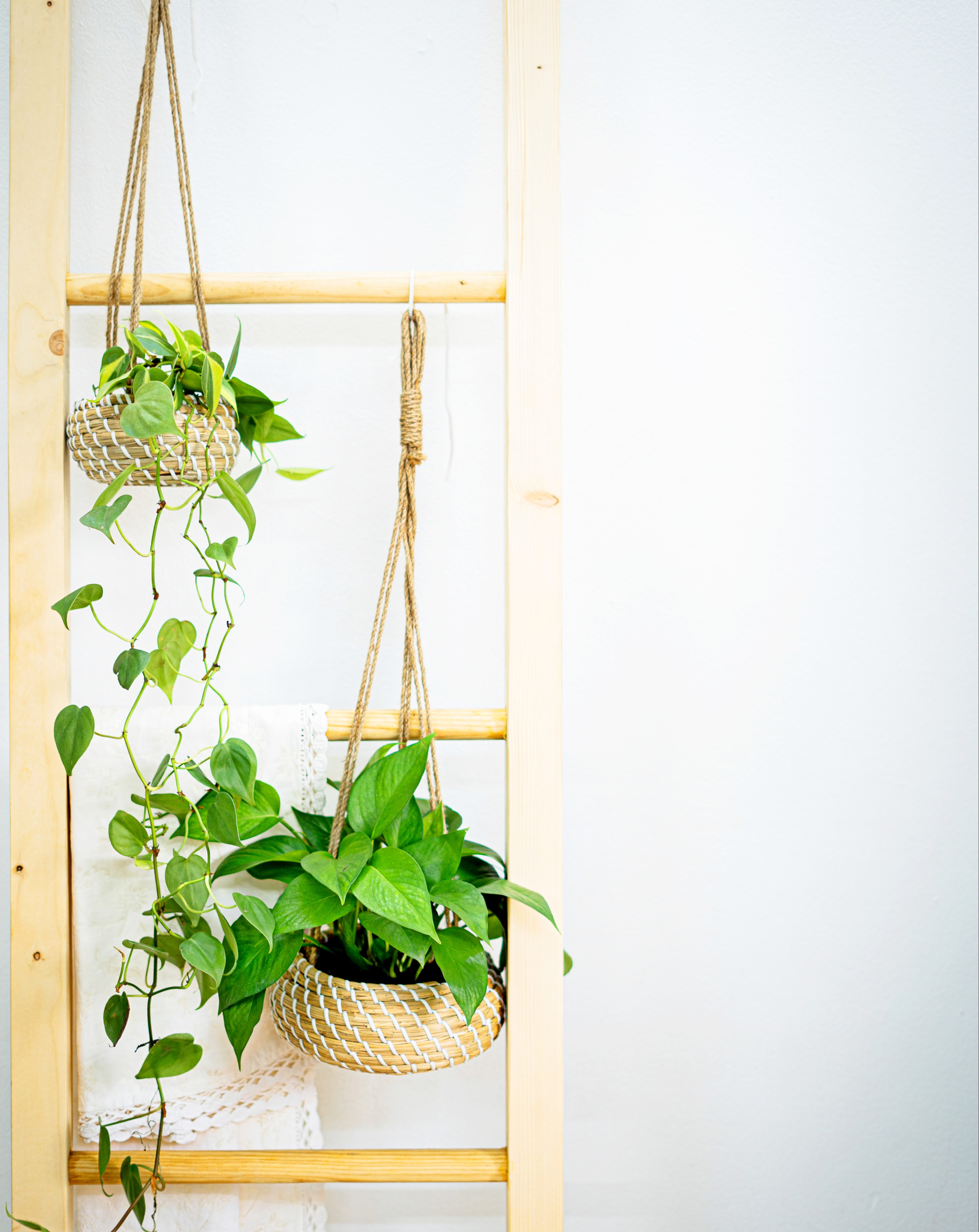 GIỎ TREO CÂY ĐAN MÂY TRANG TRÍ AMADE