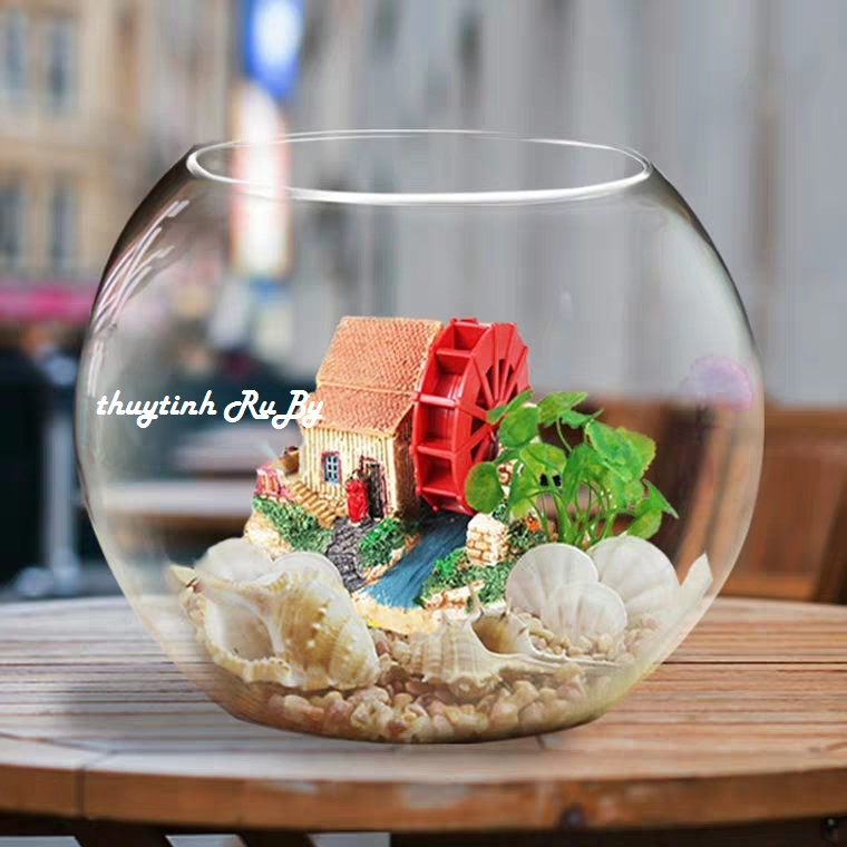  BỂ CÁ THỦY TINH ĐỂ BÀN HỒ CÁ THỦY TINH MINI T11  D17CM x 13CM  CHẬU CÂY THỦY SINH Chậu Cây Cảnh 