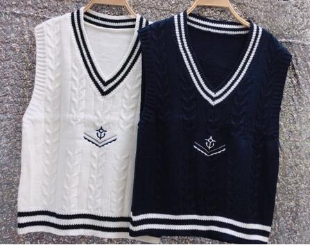 Áo len gile nữ thời trang - Hàng đẹp ( không kèm áo trong )