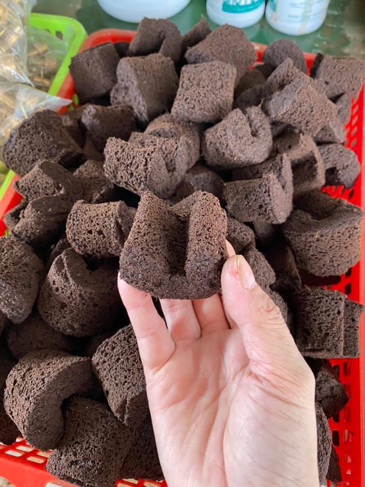 viên mút ươm kie hữu cơ dành cho hoa lan phi điệp Peatmoss Hà Lan chính hãng