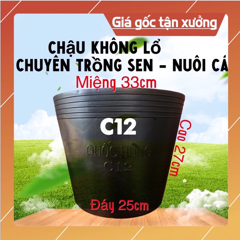 Combo 10 chậu nhựa nuôi cá c12- trồng sen