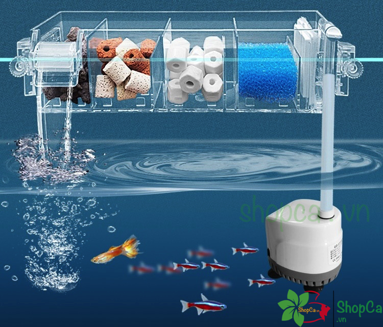Lọc tràn trên có kèm máy bơm Jeneca trong suốt đẹp cho hồ cá cảnh