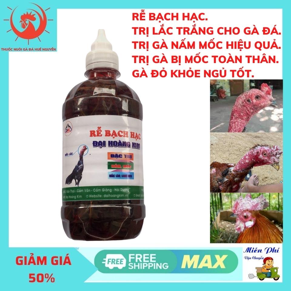 Rễ bạch hạc bôi mốc lác nấm gà tre,mốc gà chọi bôi lác trắng cho gà đá hiệu quả.1 hũ 500ml
