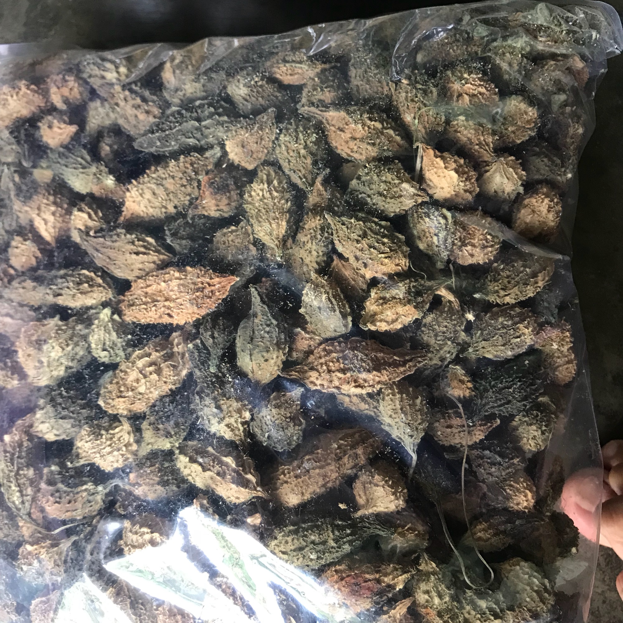 Khổ qua rừng sấy khô nguyên trái