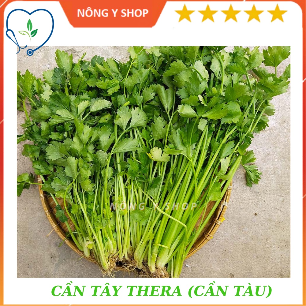 Túi zip 500 hạt- gói 5g - hạt giống cần tàu-cần tây thera rạng đông