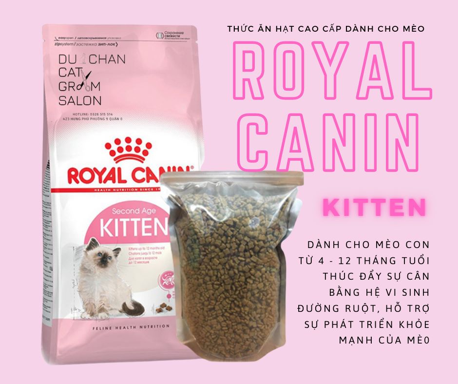 Royal canin kitten - thức ăn hạt dành cho mèo con
