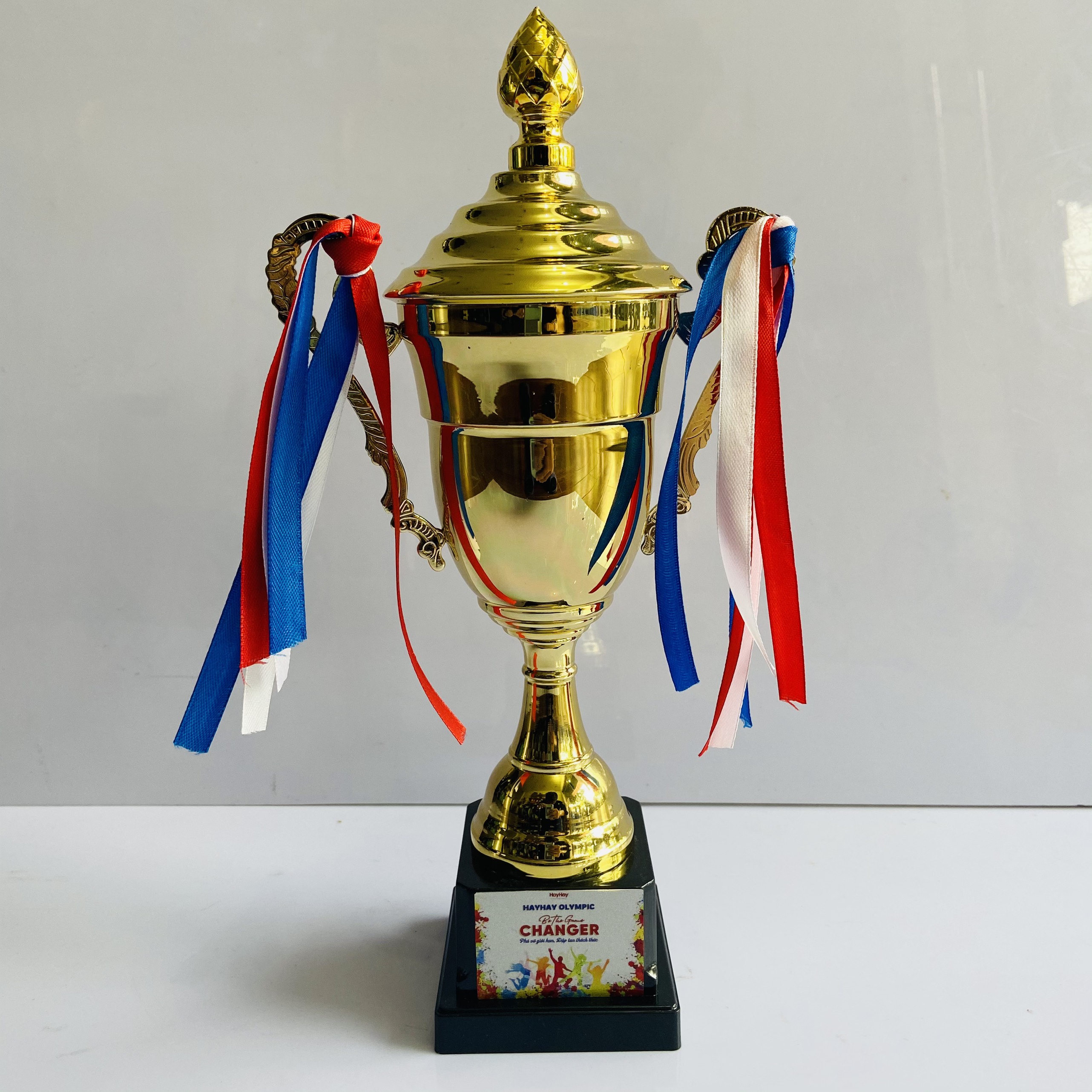 Cúp kim loại trao giải giá rẻ KN165