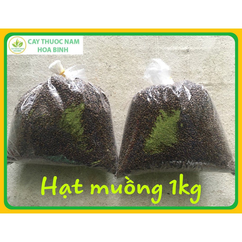 1kg hạt muồng thảo quyết minh khô sạch