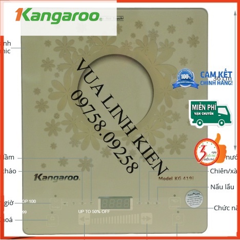Mặt kính bếp từ Kangaroo KG419i