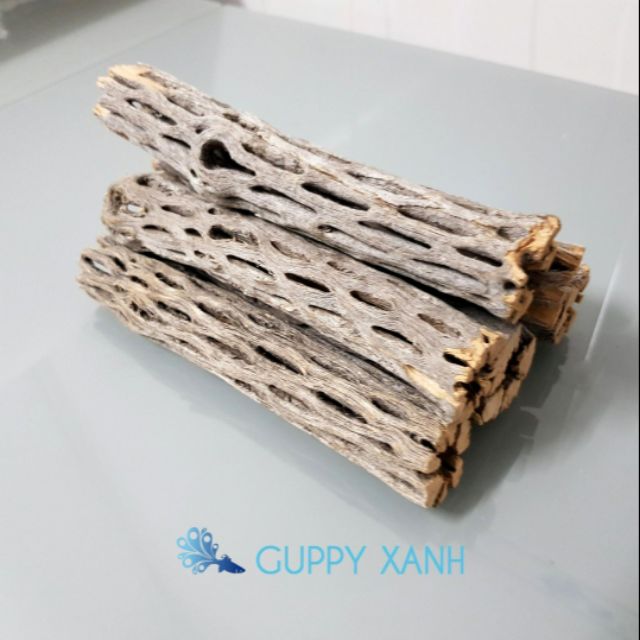 Lũa cholla đồ chơi tép kiểng dán ráy bucep rêu size nhỏ cam kết hàng đúng mô tả chất lượng đảm bảo an toàn đến sức khỏe người sử dụng đa dạng mẫu mã màu sắc kích cỡ