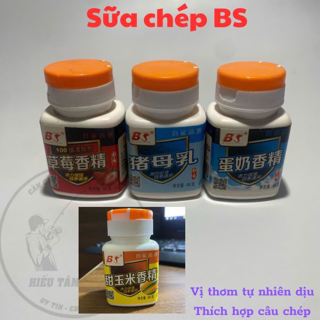Sữa chép BS- Trứng sữa, Sữa dâu, Sữa lợn, Sữa ngô câu cá Baisha