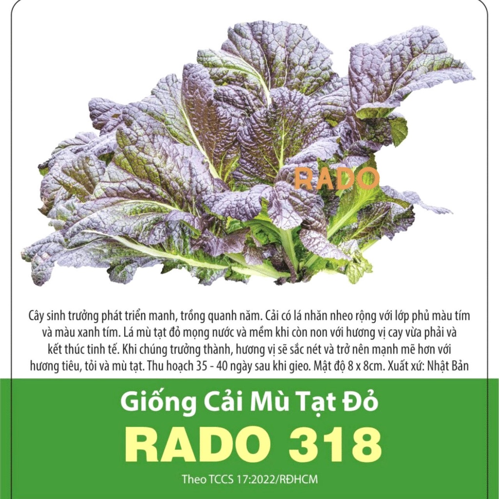 Hạt giống cải mù tạt đỏ rado 318 rạng đông | vtnn cần thơ