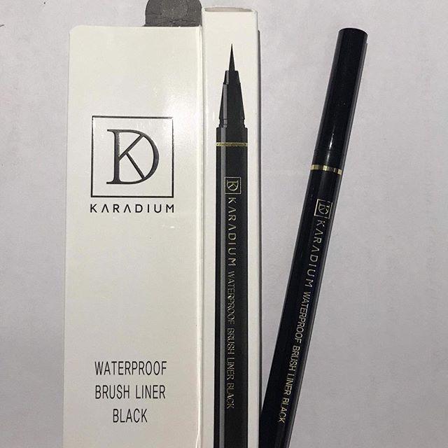 Bút Dạ Kẻ Mắt Không Trôi Karadium Waterproof Brush Liner Black 0.55g
