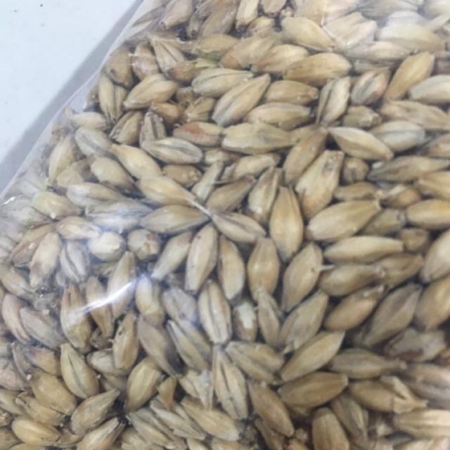 Hạt đại mạch 1kg - 500g