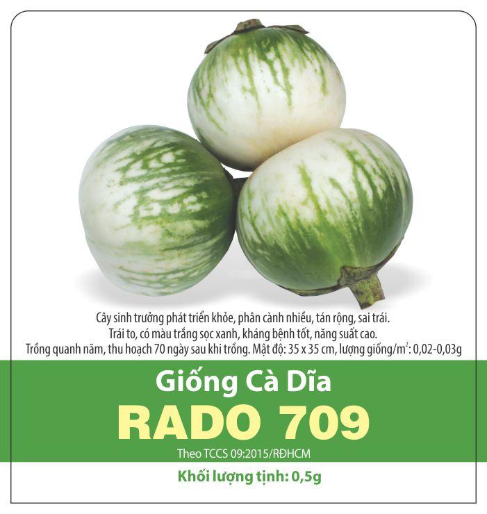 Hạt Giống Cà Dĩa Sai Trái, Dễ Trồng (0.5gr)