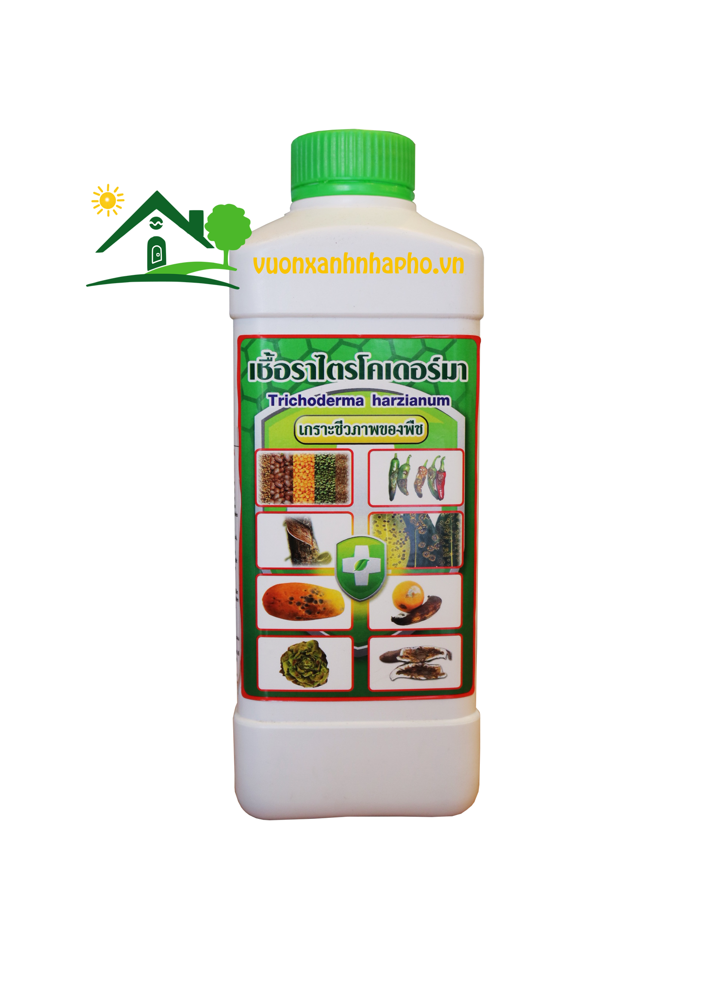 Trichoderma nước, hàng Thái Lan, chế phẩm sinh học trừ nấm đất, nấm lá. Chai 1 lít