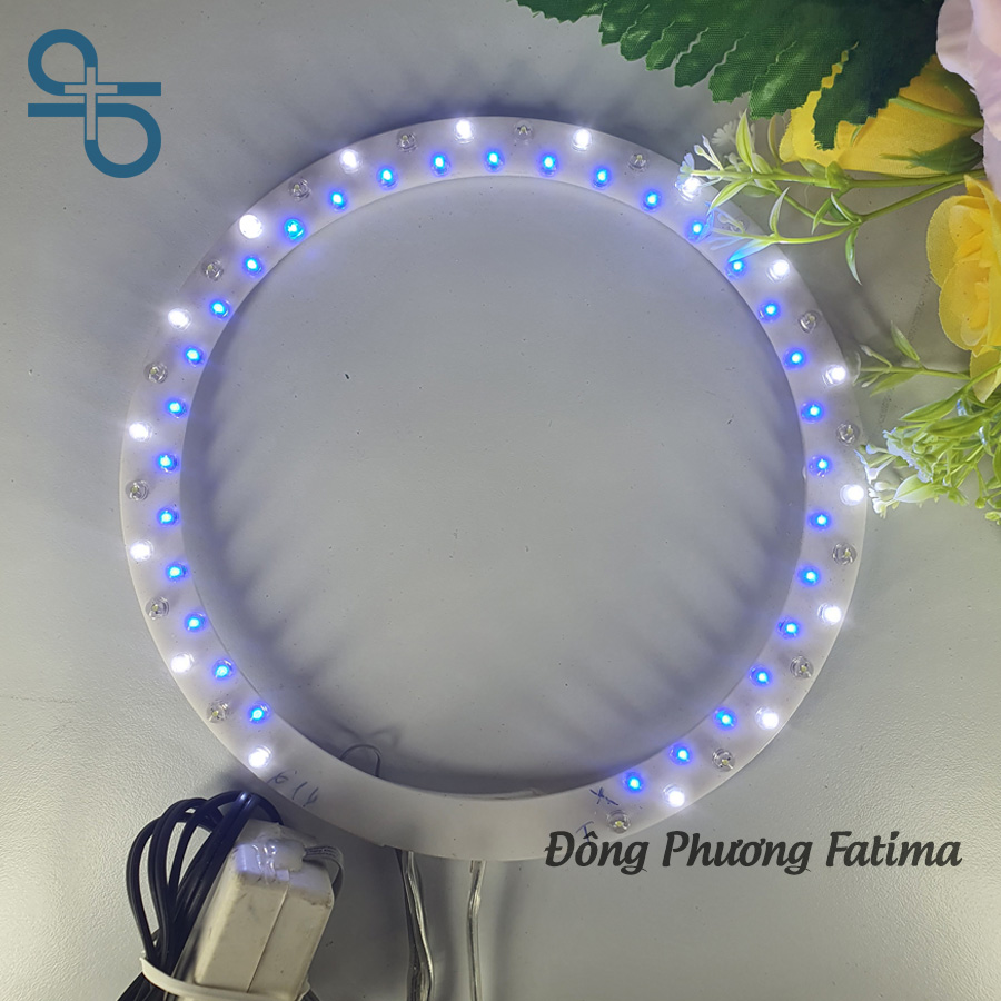Vòng hào quang led đôi 21cm