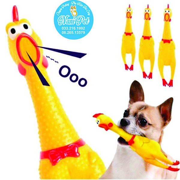 Đồ chơi thú cưng, đồ chơi cho chó mèo hamster con gà màu vàng ngộ nghĩnh - NaniPetshop