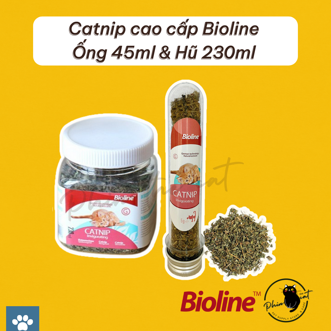 Catnip cao cấp Bioline - Ống 45ml và Hũ 230ml | phinthecat