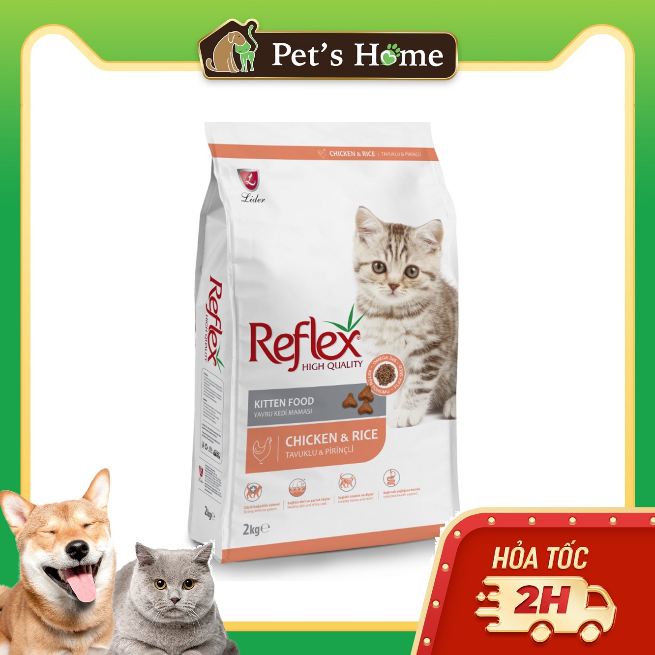 Hạt Reflex Chicken Kitten cho mèo con 2kg