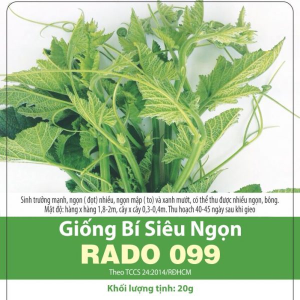 Hạt Giống Rau Bí Siêu Ngọn Giòn Ngọt, Năng Suất Cao (10gr)