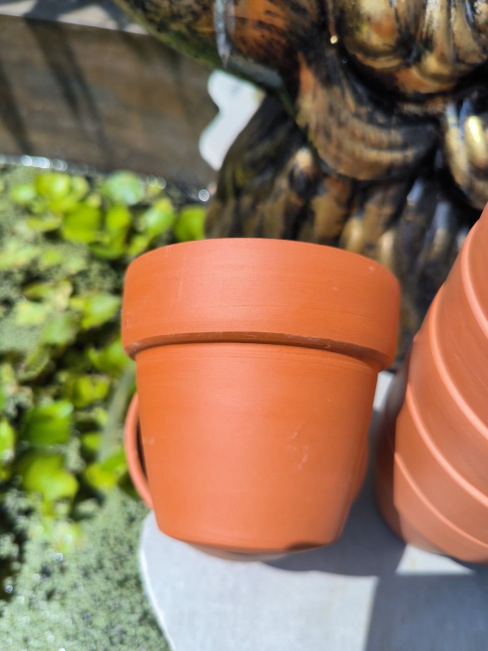 Combo 10 chậu đất nung trồng sen đá đường kính 9 cm, cao 8 cm