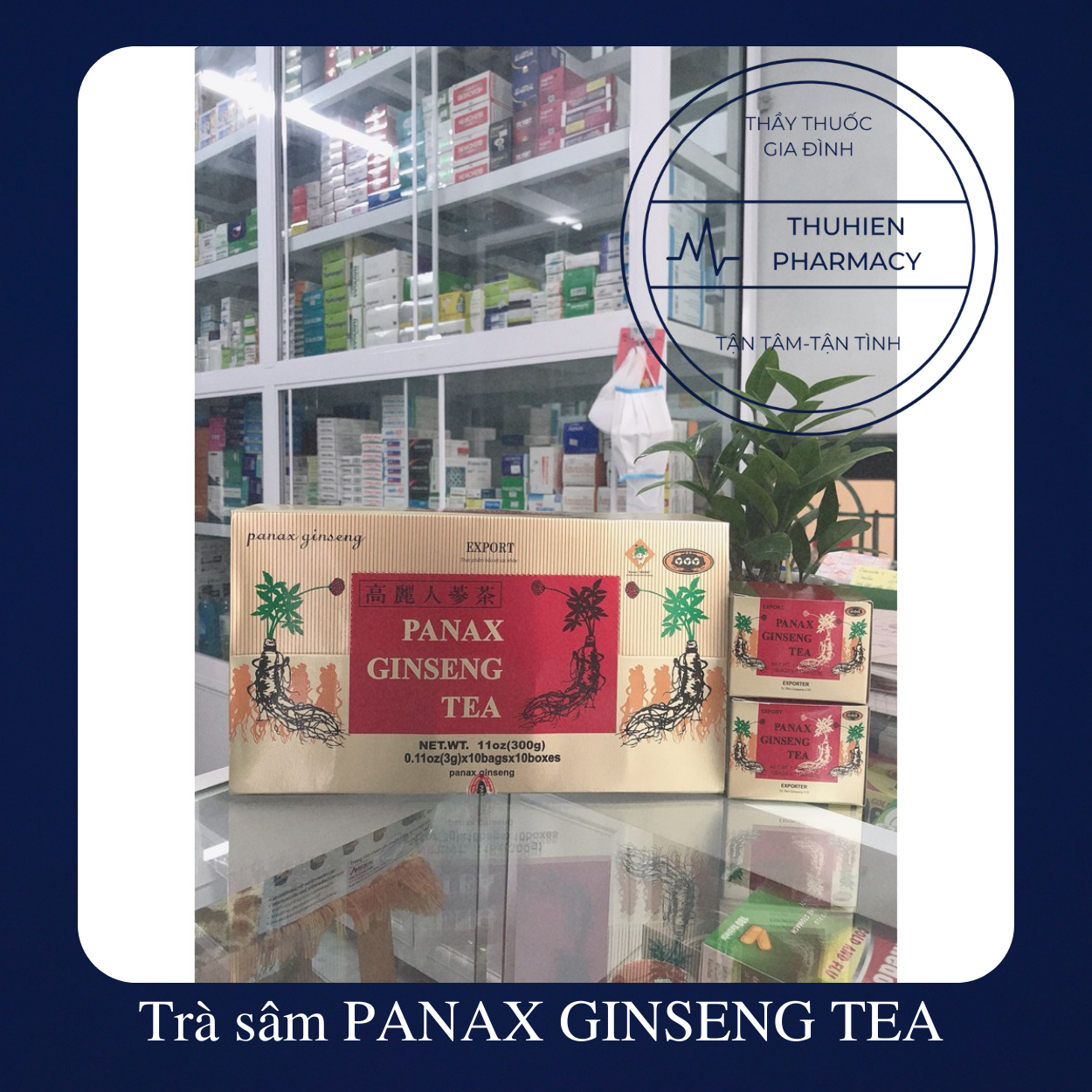 Trà sâm panax ginseng tea hộp 10 gói