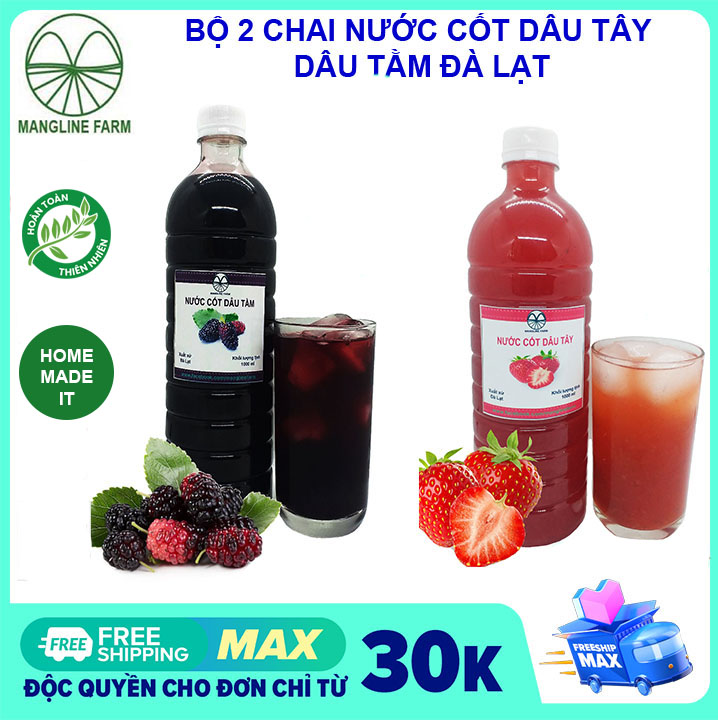 [FREESHIP 15K CHO ĐƠN 29K] Bộ 2 chai nước cốt dâu tây, dâu tằm sạch Đà Lạt (siro dâu tây, dâu tằm) nhà làm 1 Lít, Đặc sản Đà Lạt
