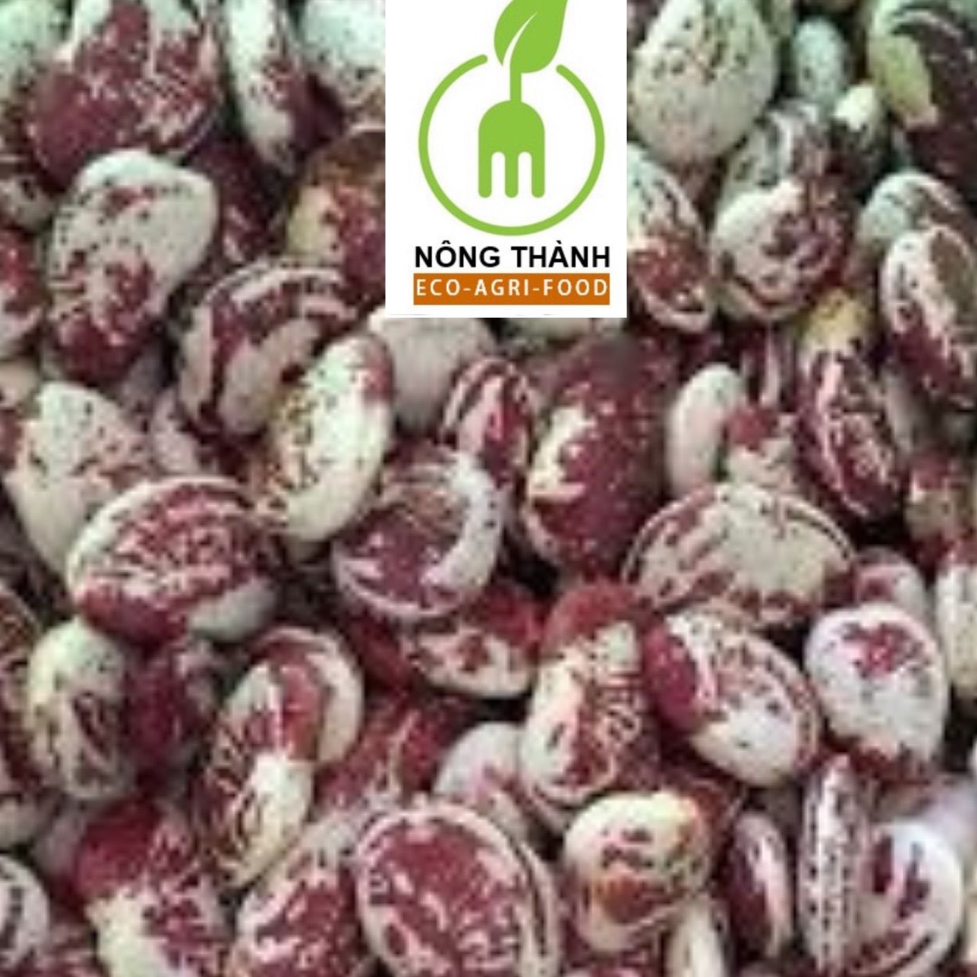 Đậu ngự túi 1kg - nông thành