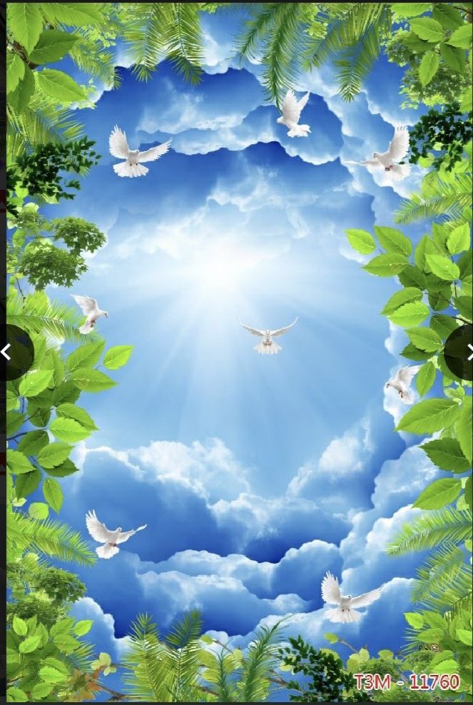 tranh dán trần nhà 3d in Vải Lụa