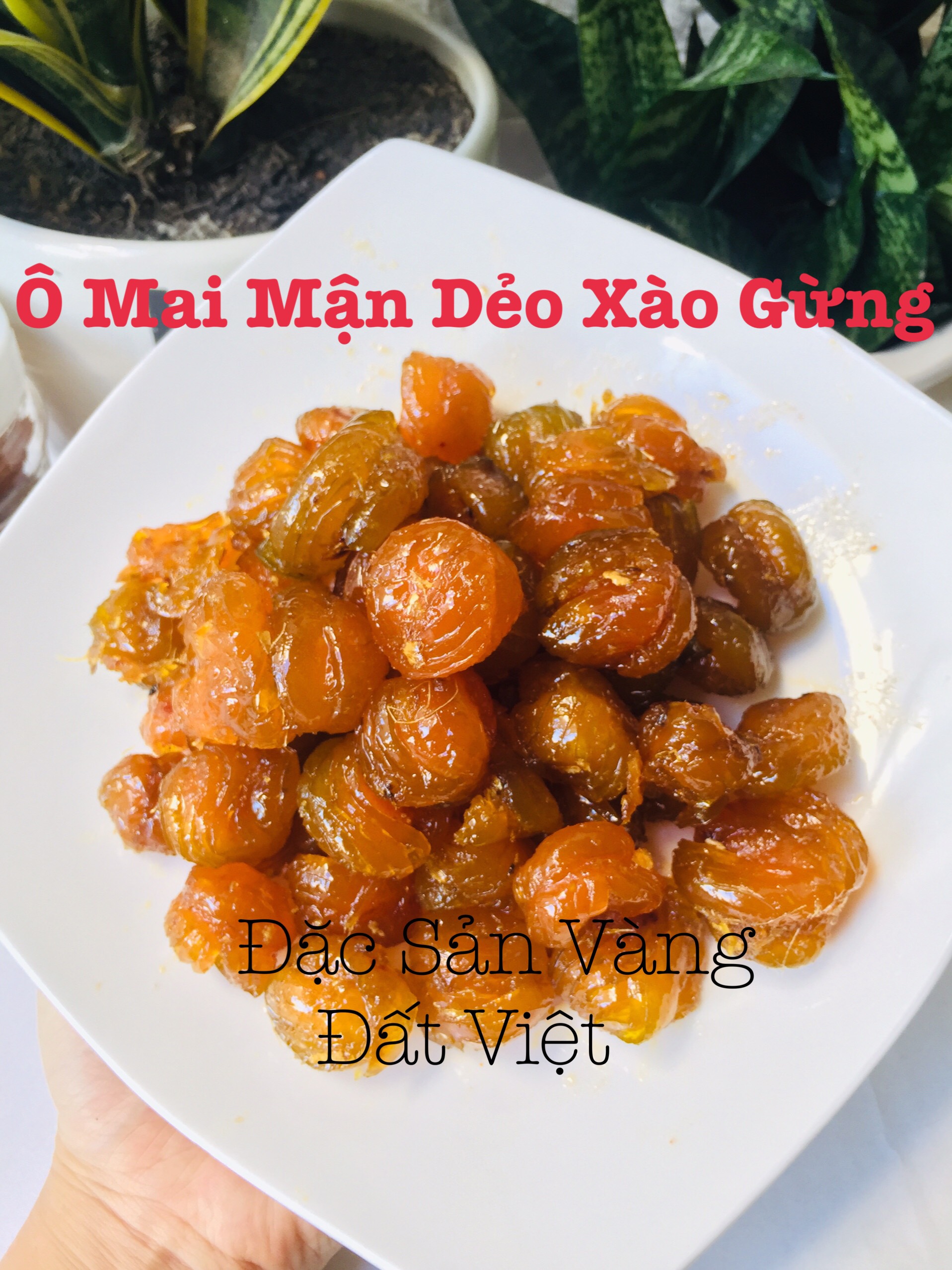 1Kg (2 hộp) Ô Mai Mận Dẻo Xào chua Ngọt DatVietFood