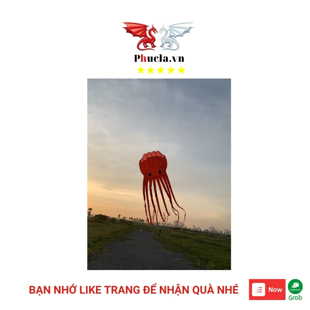 Diều thả hình bạch tuộc 3D khủng