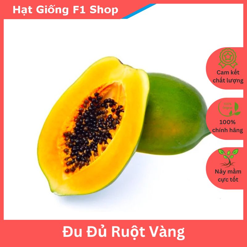 Hạt Giống Đu Đủ Ruột Vàng Lai F1 Sai Trái Dày Cơm