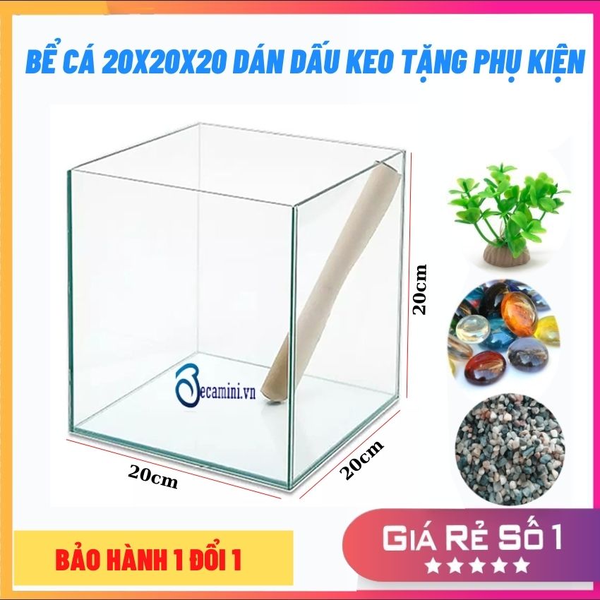 Bể cá mini 20cm CUBIC dành cho nuôi cá hoặc chơi thủy sinh , Tặng kèm Phụ Kiện