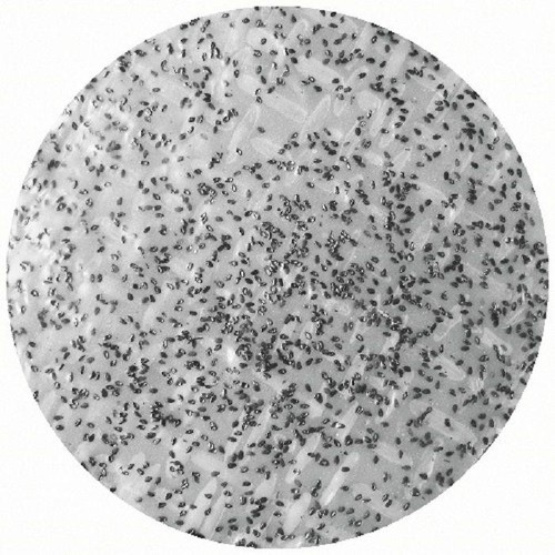 Bánh tráng mè dừa chưa nướng (10 cái mè đen)