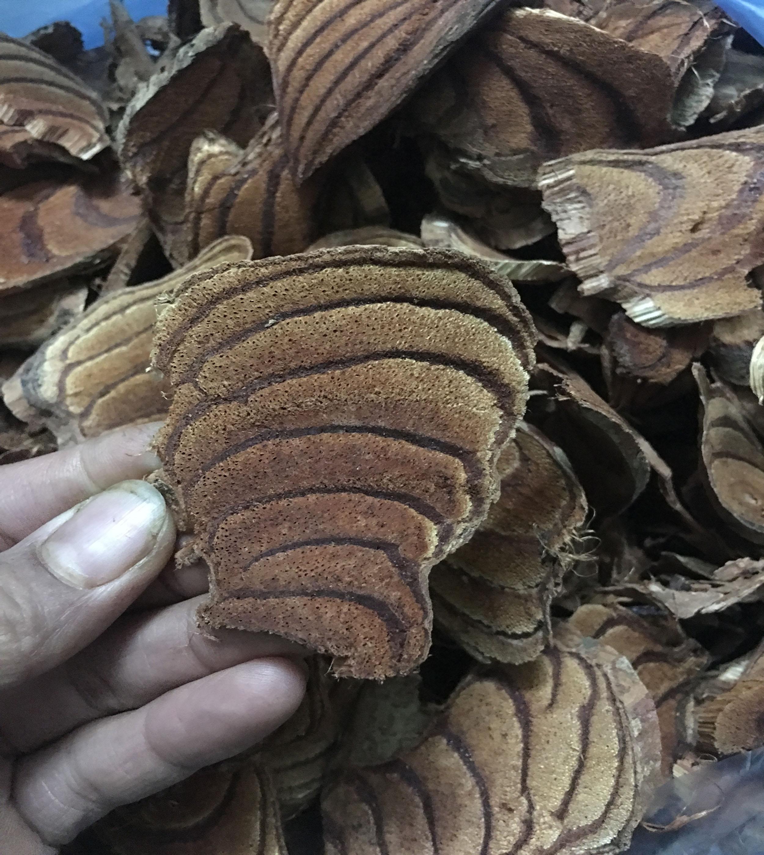Cây huyết đằng - bổ máu-đau xương khớp-làm đẹp 2kg