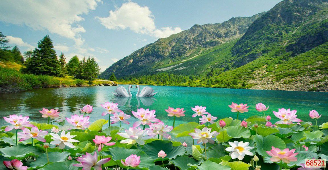 Tranh dán tường hoa sen 3D in trên chất liệu lụa cao cấp