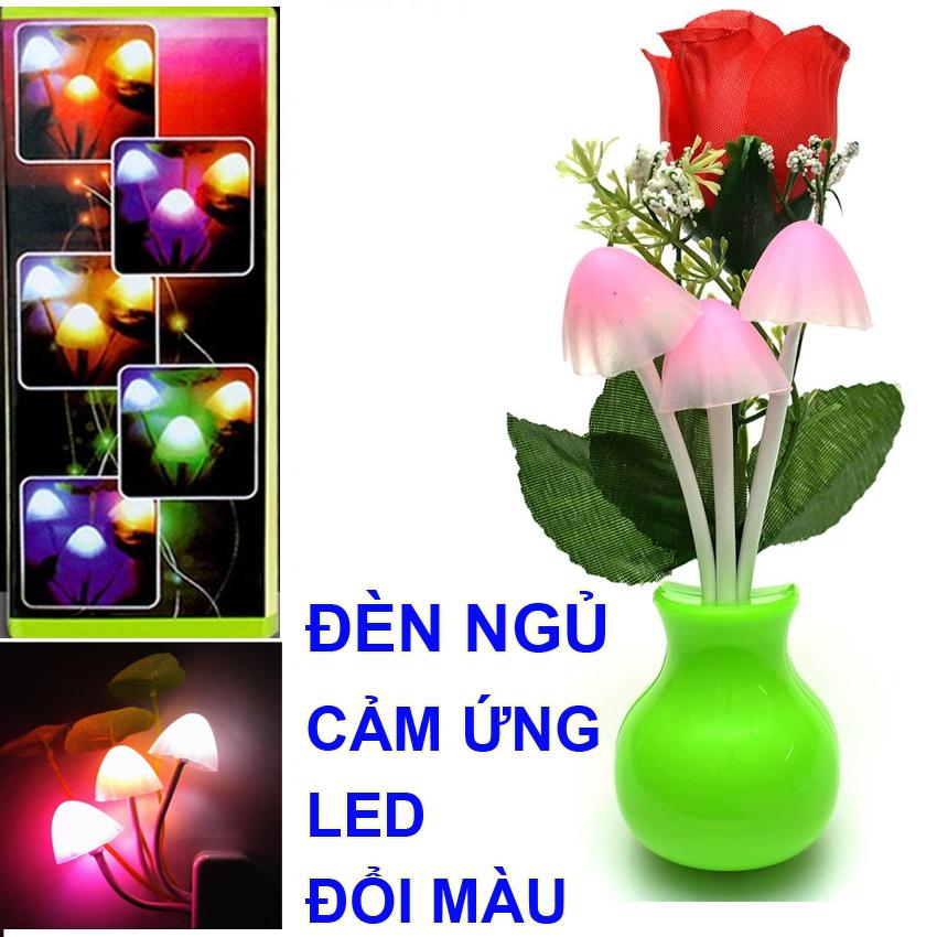 Đèn ngủ cảm ứng ánh sáng hình nấm và hoa hồng Led đổi màu tuyệt đẹp A Huy.