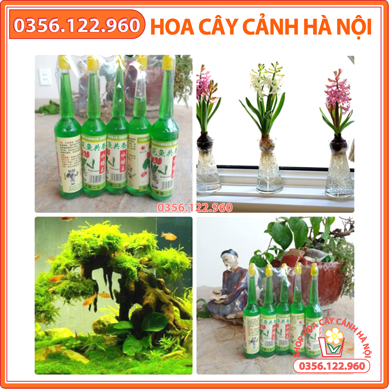 2 lọ dung dịch thuỷ canh cho hoa cắt cắm, cây cảnh, bể cá .. 38ml