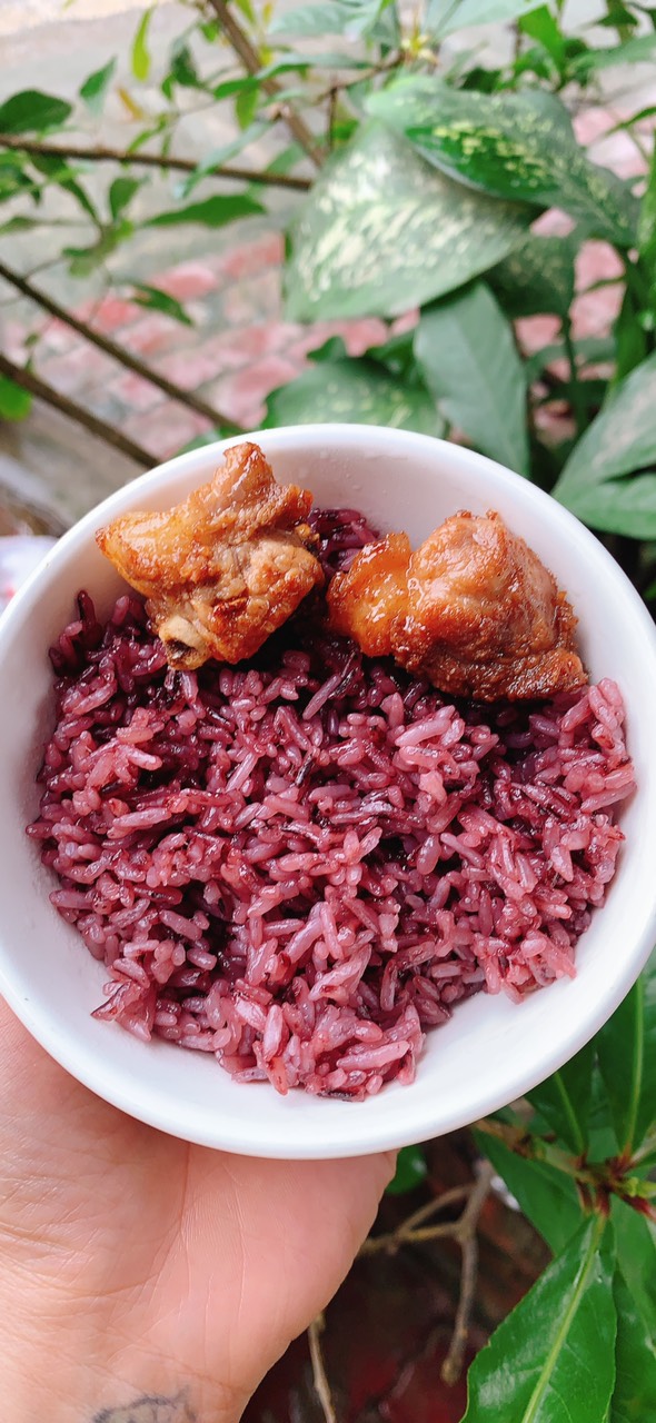 GẠO NƯƠNG TÍM HMONG ĐẶC SẢN YÊN BÁI