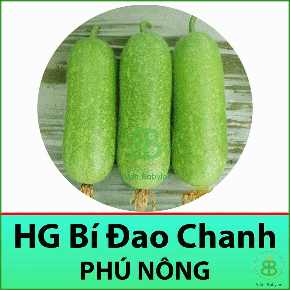 Gói 0,2Gr  Hạt Giống Bí đao Chanh  Dễ Trồng, Siêu Trái