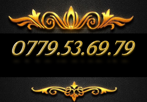 Sim thần tài vip 0779.536979