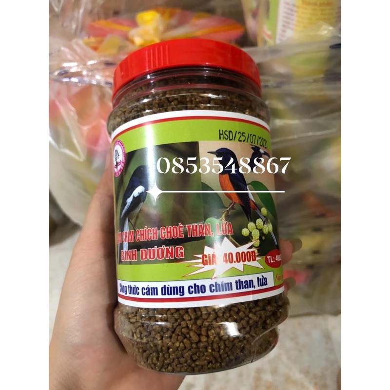 Cám chích choè than,lửa bình dương.