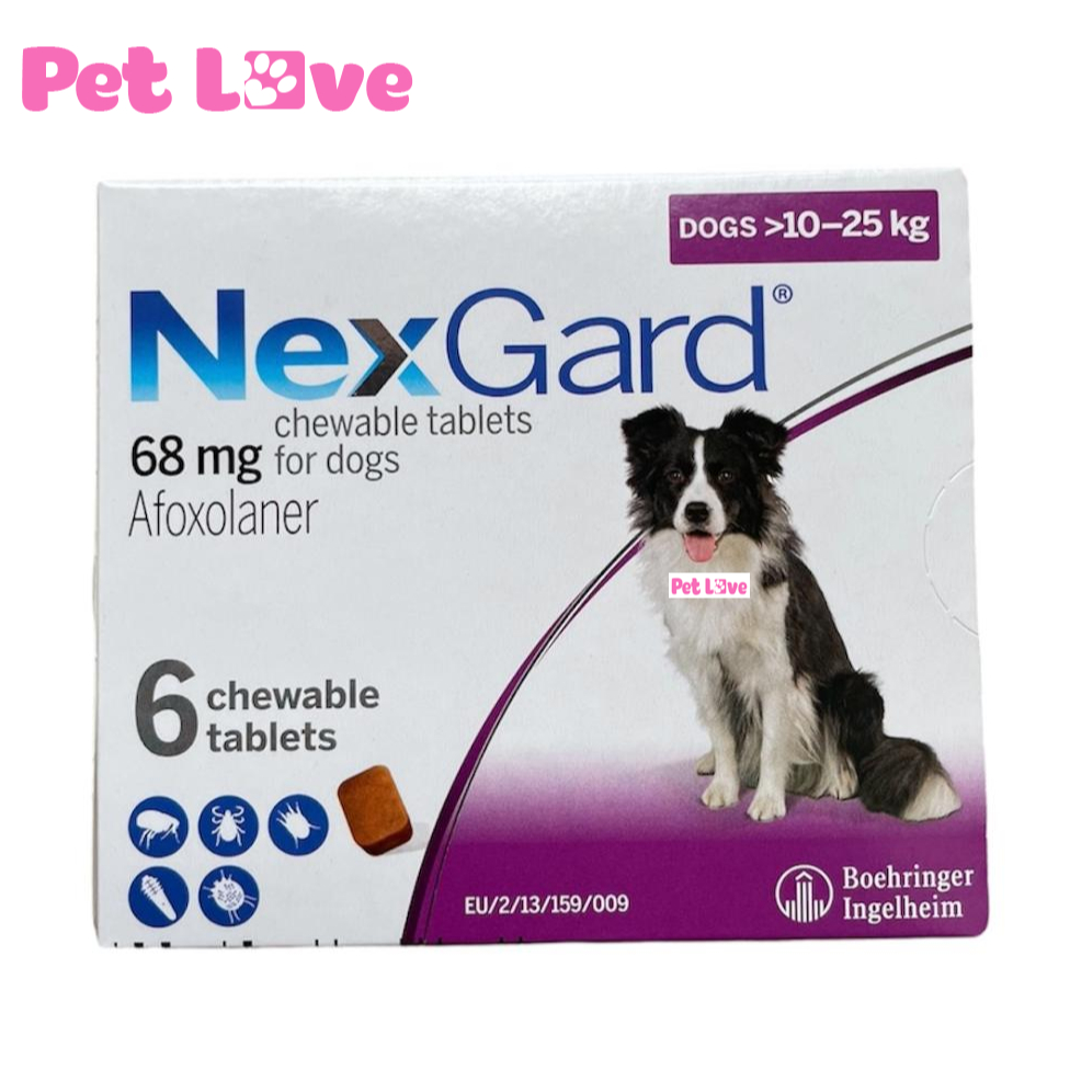 Viên nhai Nexgard diệt ghẻ, bọ chét, ve rận chó 10 - 25kg (Boehringer, sản xuất tại Pháp)