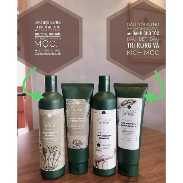 Dầu gội Weilaya dành cho tóc dầu, bết dầu và kích thích mọc tóc